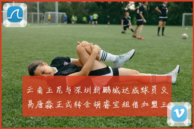 云南玉昆与深圳新鹏城达成球员交易唐淼正式转会胡睿宝租借加盟玉昆
